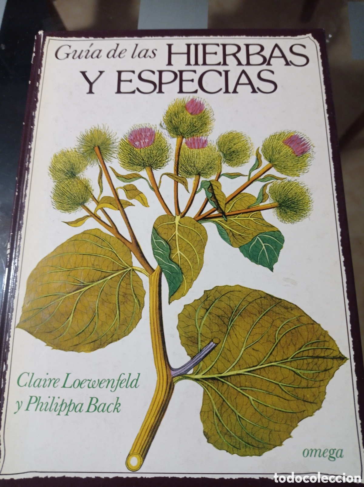 Libros de segunda mano: GUIA DE LAS HIERBAS Y ESPECIAS,364 PAGINAS - Foto 1