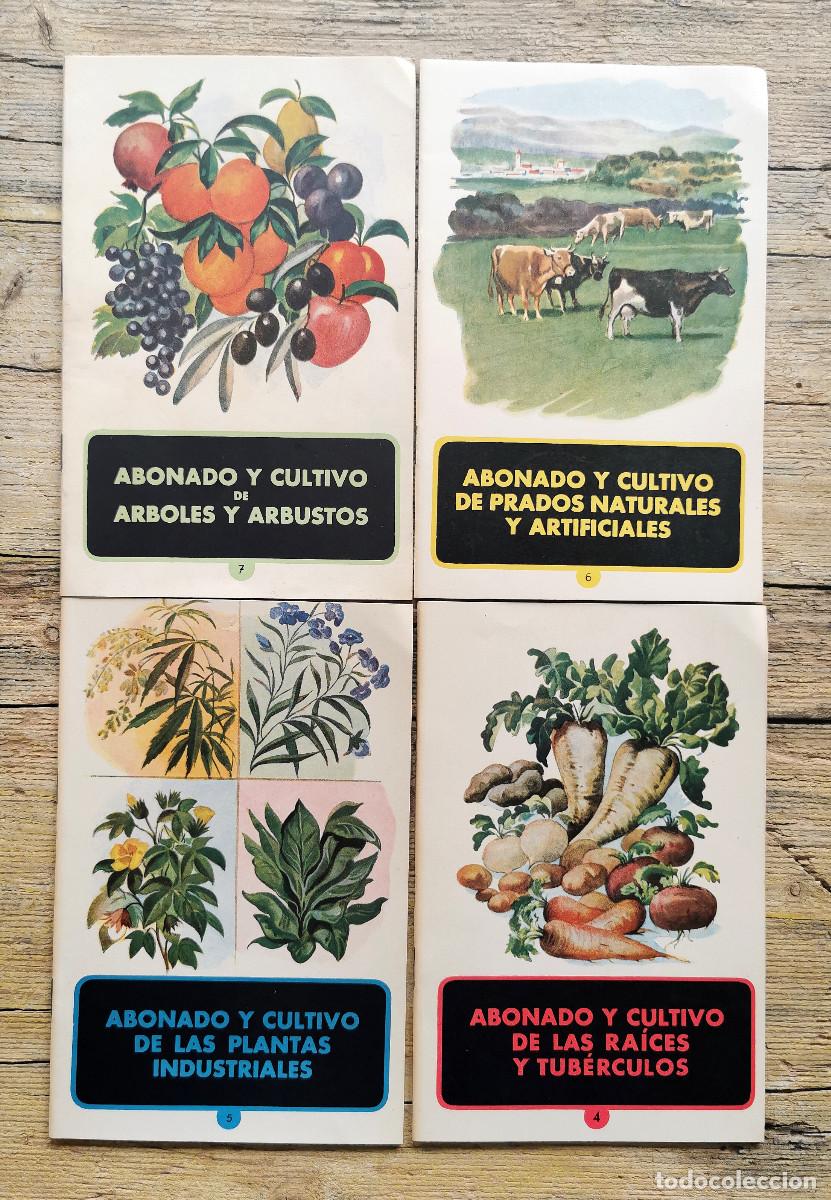 Libros de segunda mano: MONOGRAFIAS AGRICOLAS. 1951 - Foto 2