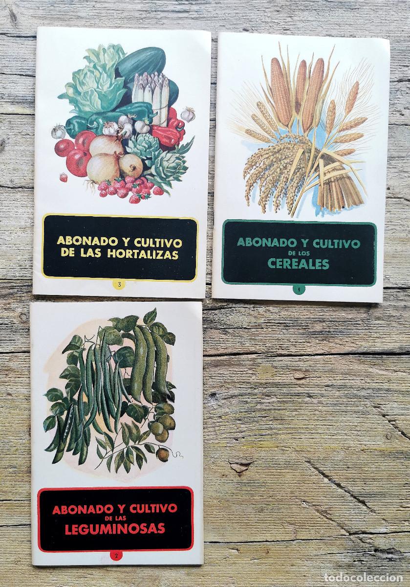 Libros de segunda mano: MONOGRAFIAS AGRICOLAS. 1951 - Foto 3