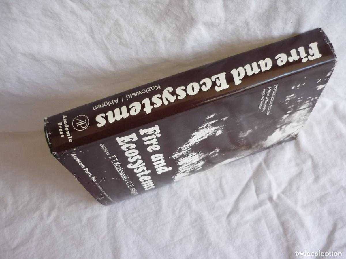 Libros de segunda mano: Fire and Ecosystems 1974, varios autores, en ingl&eacute;s - Foto 3