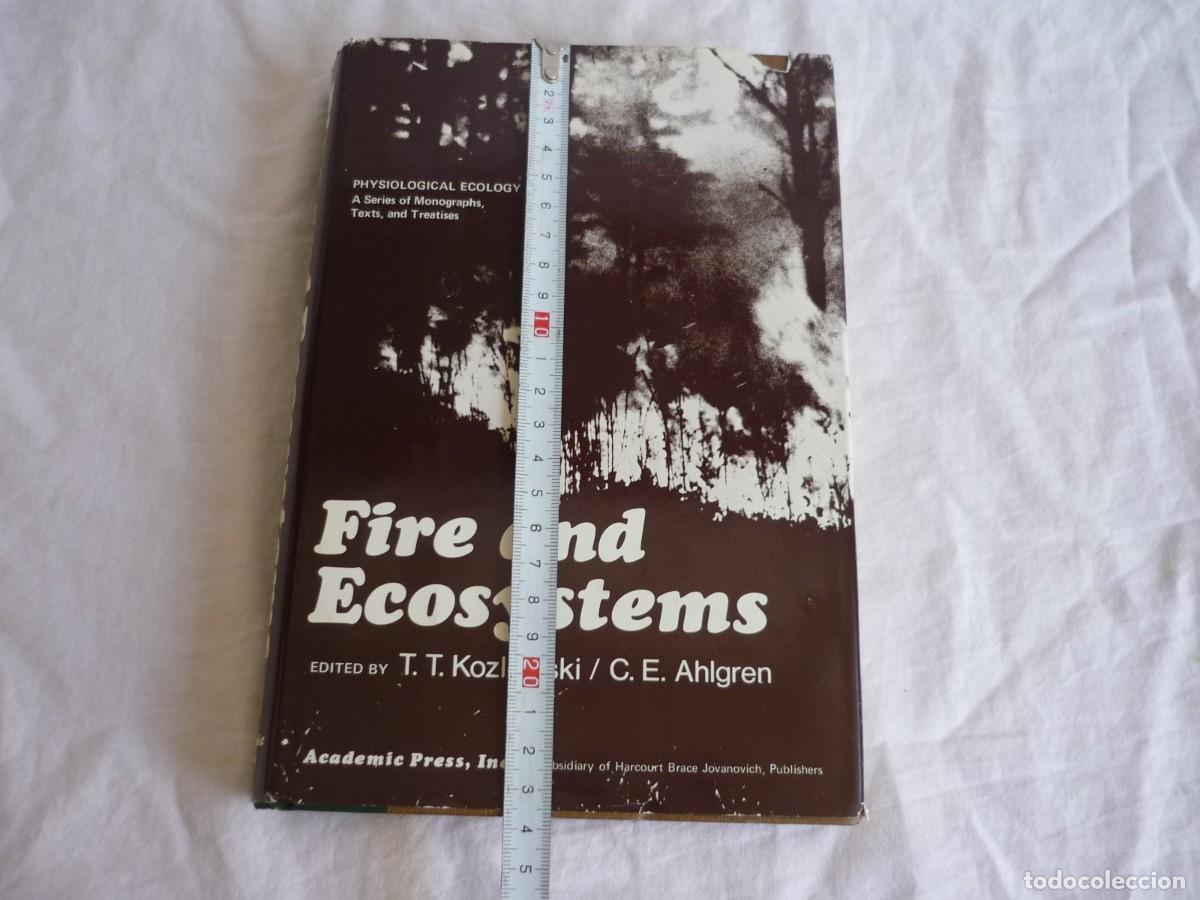 Libros de segunda mano: Fire and Ecosystems 1974, varios autores, en ingl&eacute;s - Foto 4