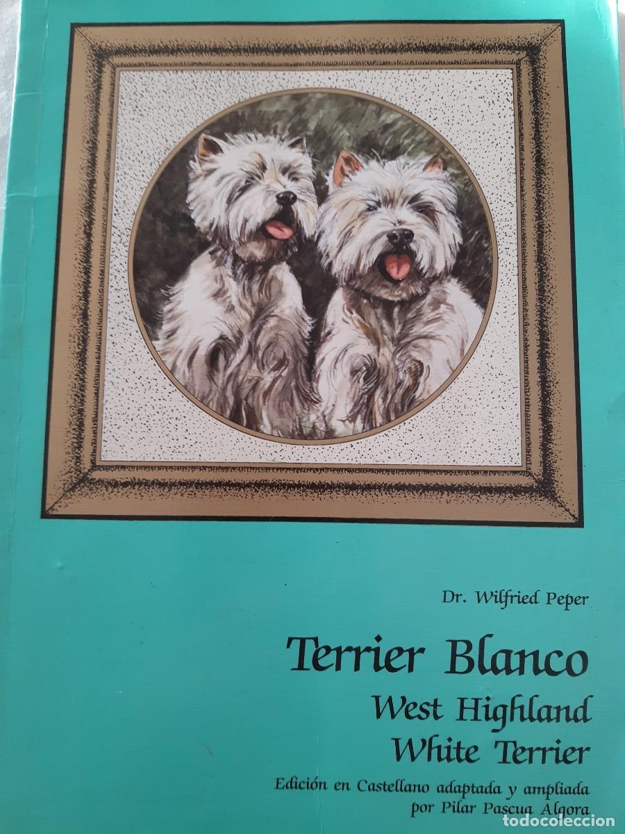 Second hand books: West Highland White Terrier Terrier Blanco Dr Wilfried Peper Pilar Pascua Algora