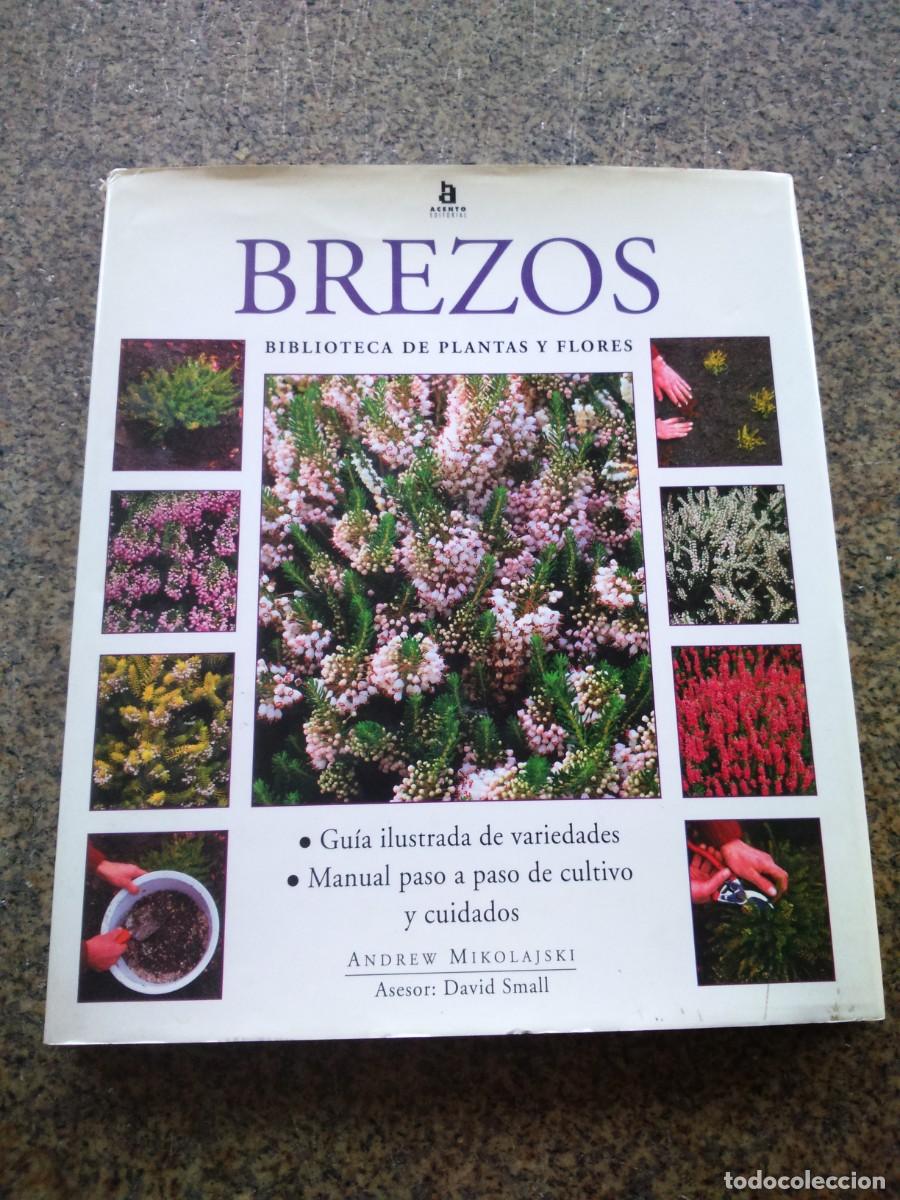 Libros de segunda mano: BREZOS -- BIBLIOTECA DE PLANTAS Y FLORES -- - Foto 1