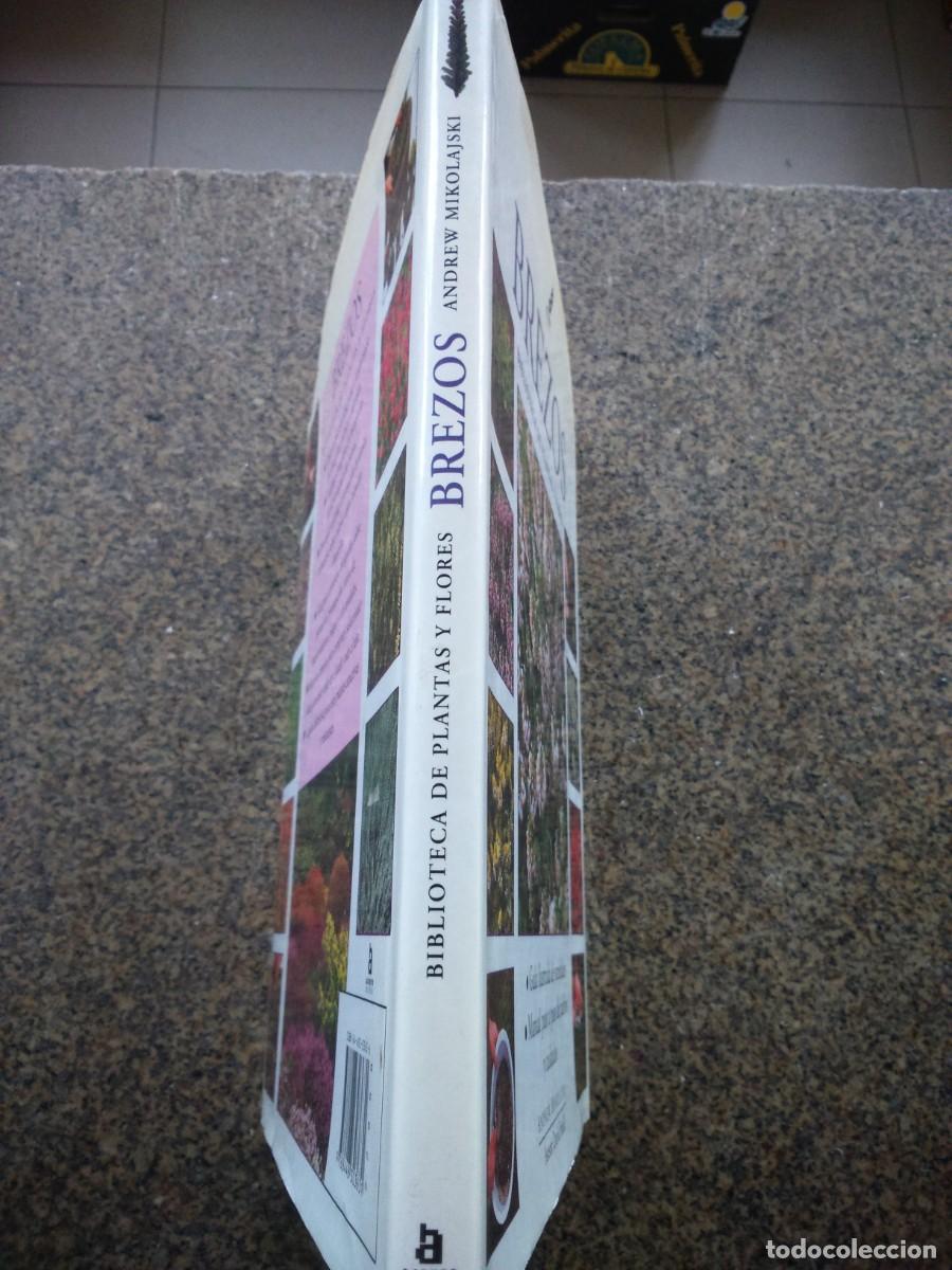 Libros de segunda mano: BREZOS -- BIBLIOTECA DE PLANTAS Y FLORES -- - Foto 3