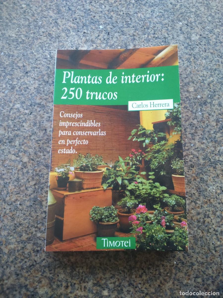 Libros de segunda mano: PLANTAS DE INTERIOR : 250 TRUCOS -- - Foto 1