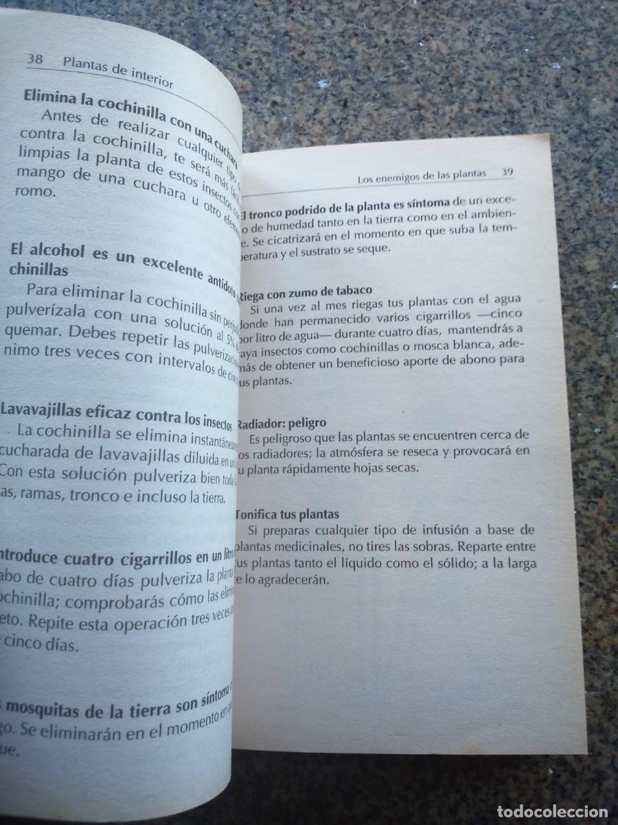 Libros de segunda mano: PLANTAS DE INTERIOR : 250 TRUCOS -- - Foto 2