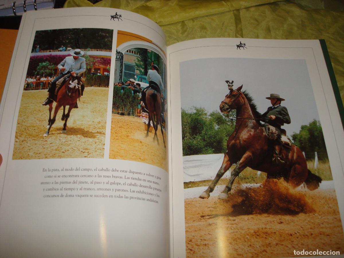 Libros de segunda mano: CABALLOS ANDALUCES. JOSE M&ordf; CAMACHO. 1999 - Foto 2