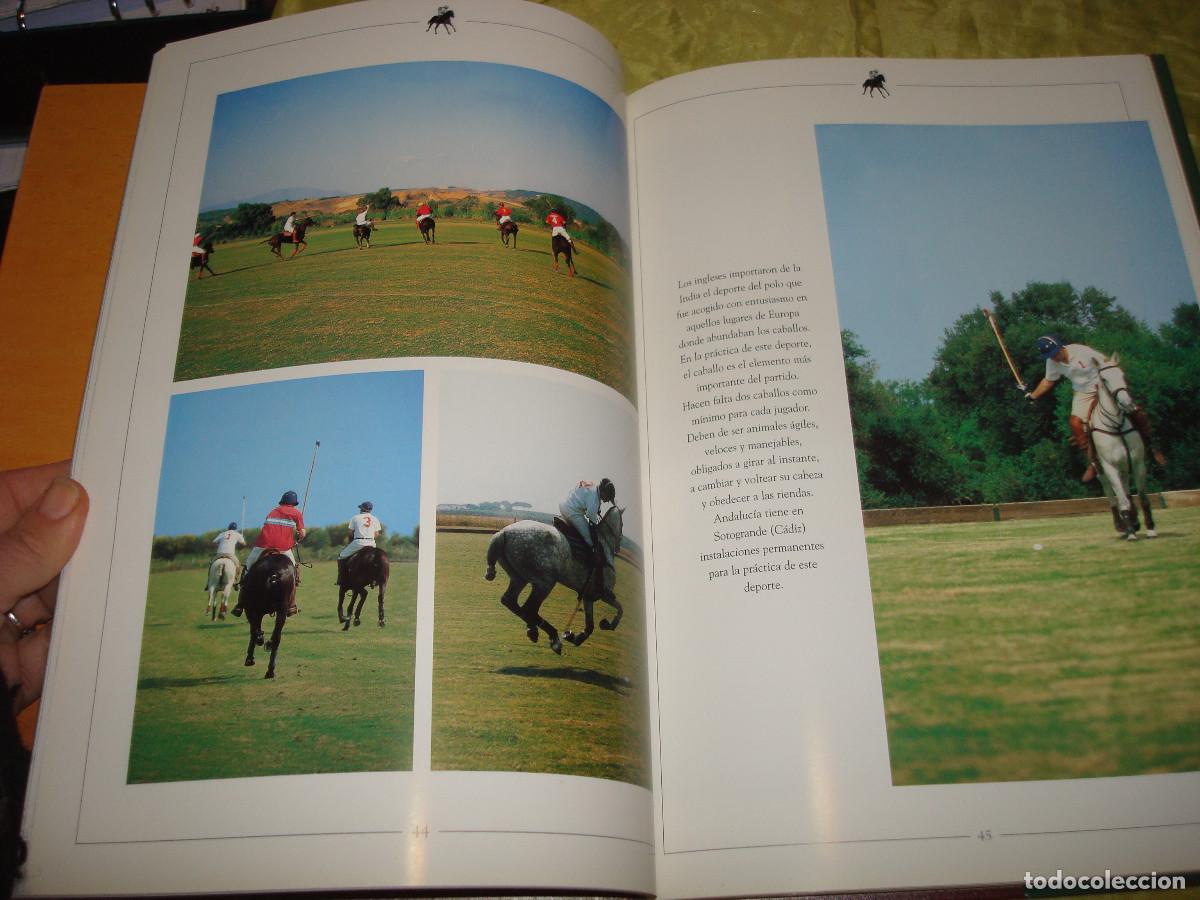 Libros de segunda mano: CABALLOS ANDALUCES. JOSE M&ordf; CAMACHO. 1999 - Foto 3