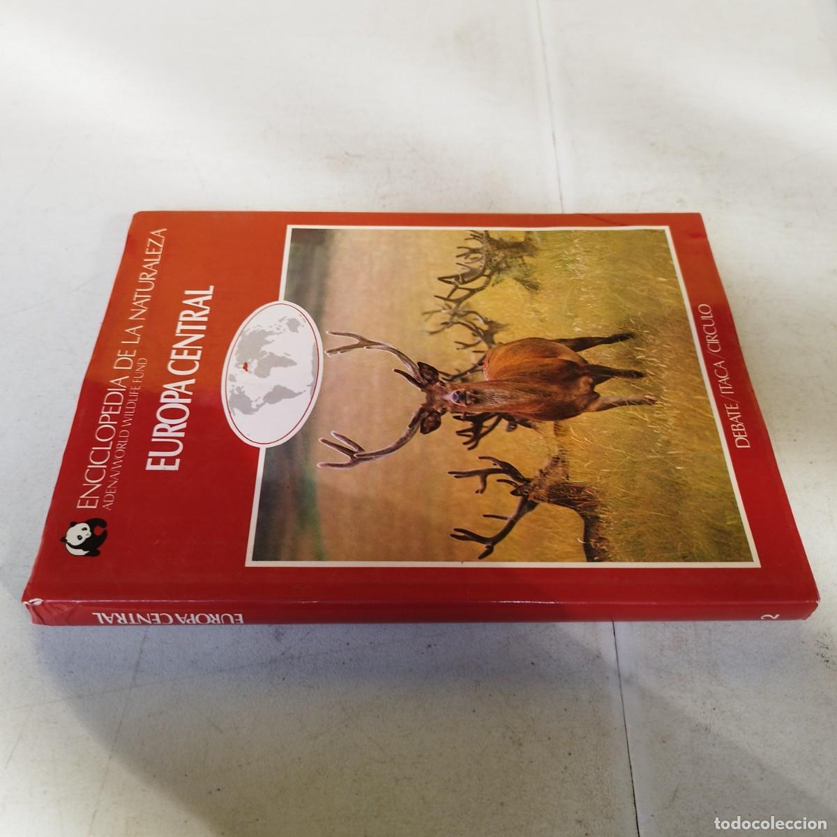 Libros de segunda mano: EUROPA CENTRAL / VVAA / GARA 66 / DEBATE/ITACA/CIRCULO - Foto 1