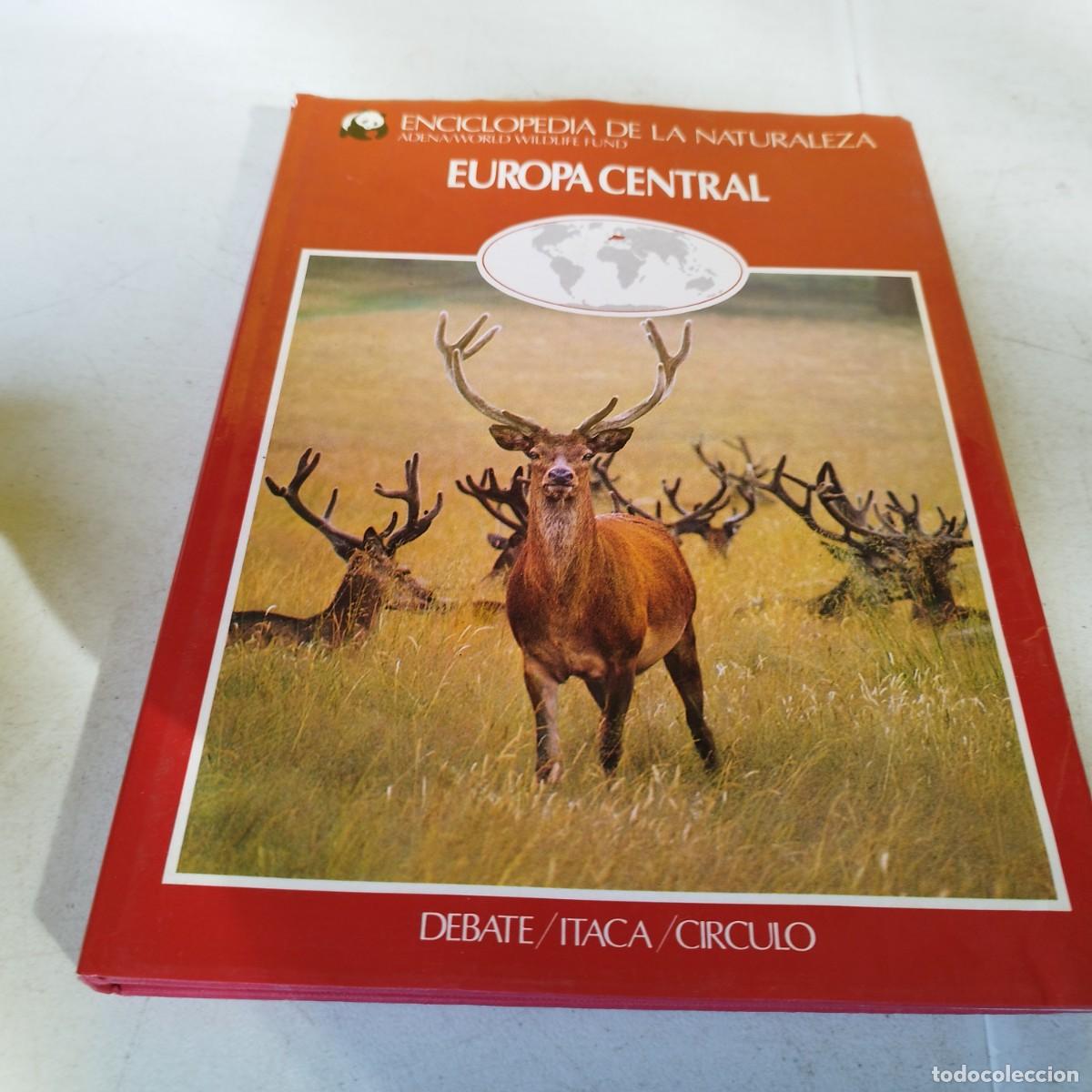 Libros de segunda mano: EUROPA CENTRAL / VVAA / GARA 66 / DEBATE/ITACA/CIRCULO - Foto 2