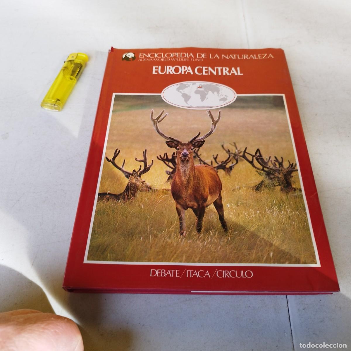 Libros de segunda mano: EUROPA CENTRAL / VVAA / GARA 66 / DEBATE/ITACA/CIRCULO - Foto 4