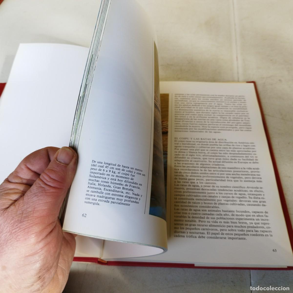 Libros de segunda mano: EUROPA CENTRAL / VVAA / GARA 66 / DEBATE/ITACA/CIRCULO - Foto 12