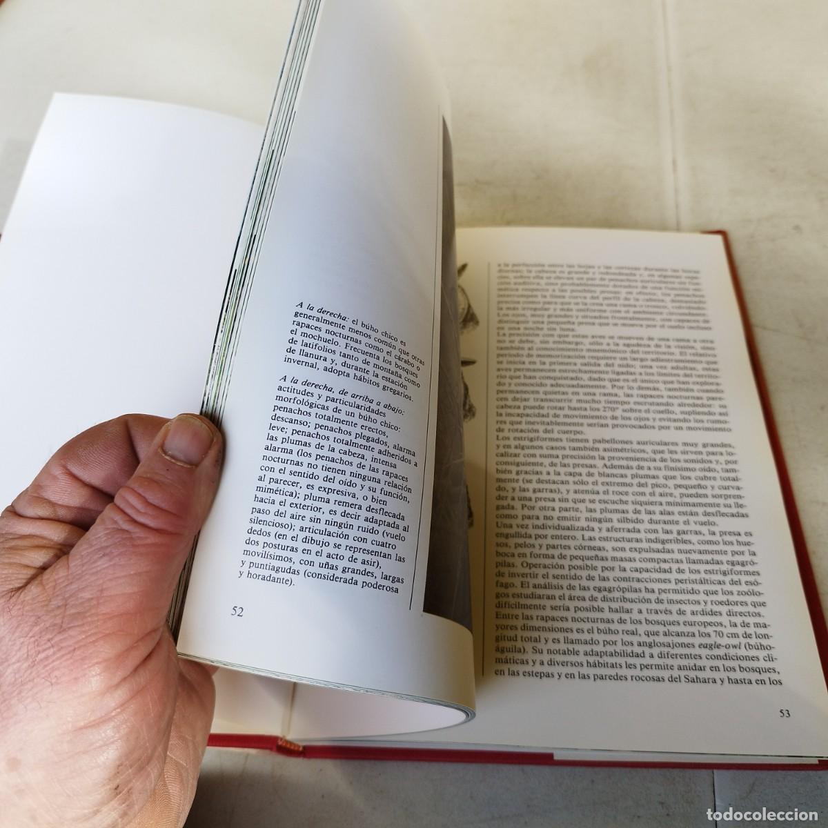 Libros de segunda mano: EUROPA CENTRAL / VVAA / GARA 66 / DEBATE/ITACA/CIRCULO - Foto 13