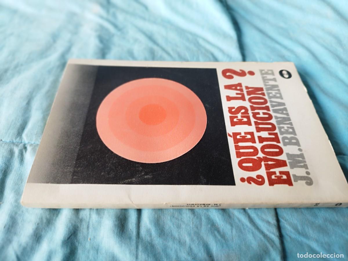 Libros de segunda mano: &iquest;QUE ES LA EVOLUCION? / J.M.BENAVENTE / GARA 53-58 / ZERO - Foto 1