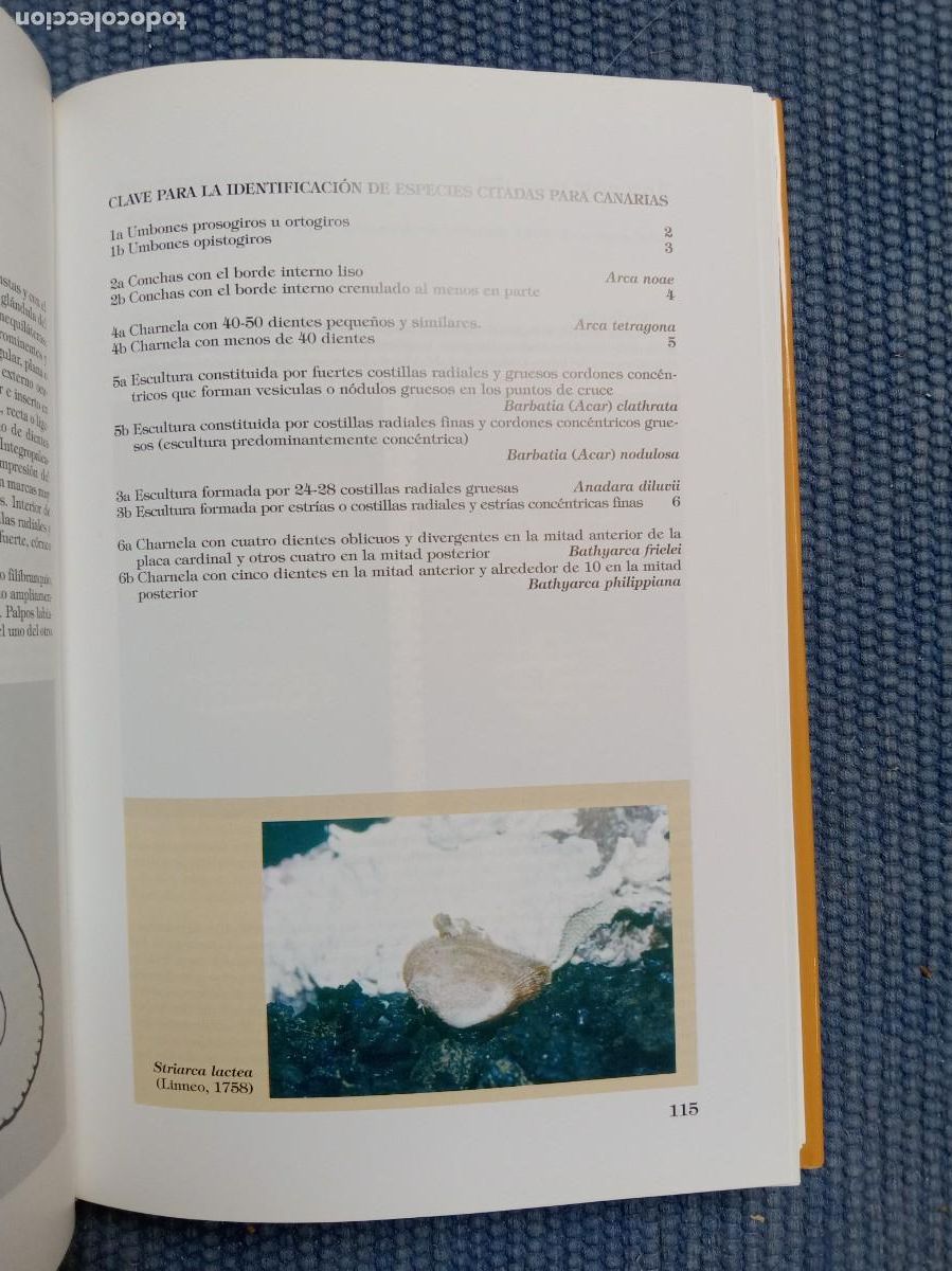 Libros de segunda mano: Moluscos bivalvos de Canarias - Foto 3