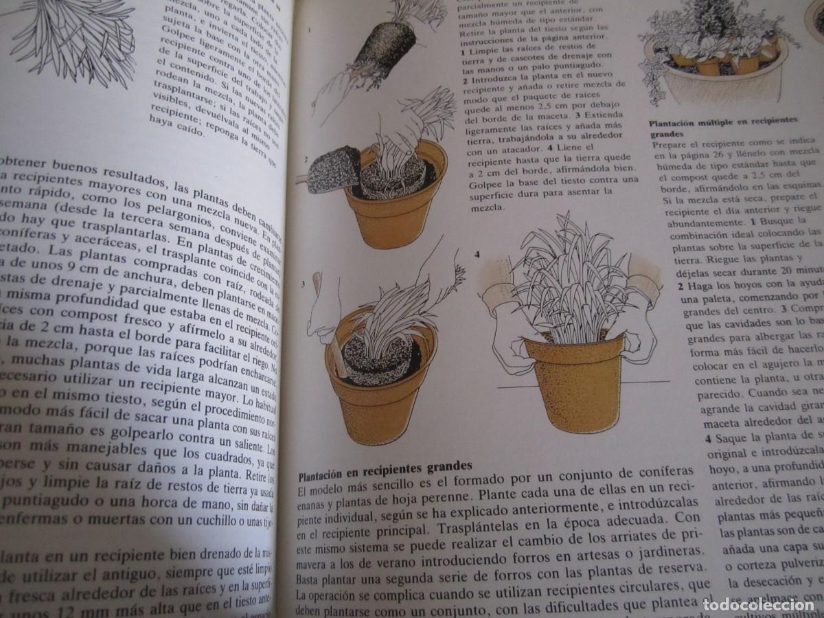 Libros de segunda mano: libro el jardin de macetas- Kenneth A, Beckett, David Carr, David Stevens - Foto 2