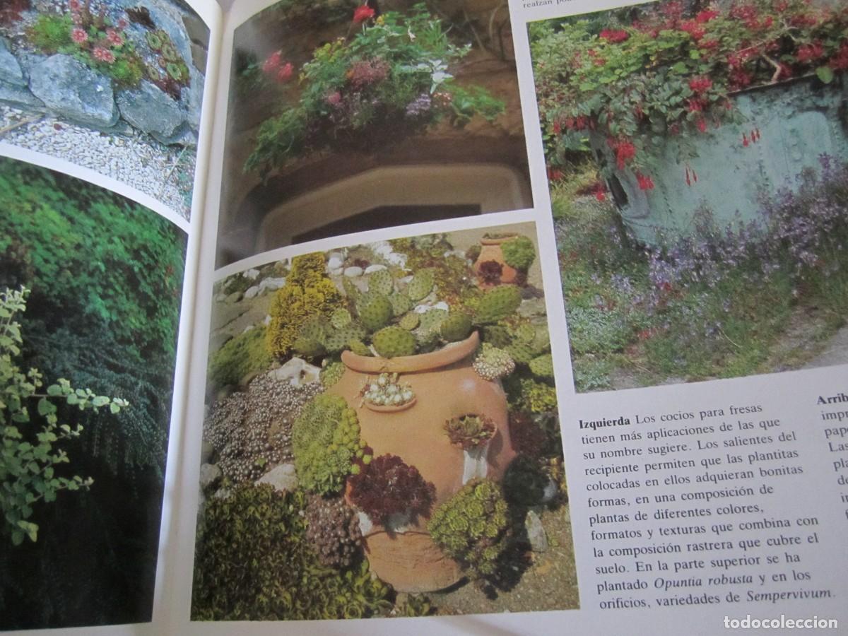 Libros de segunda mano: libro el jardin de macetas- Kenneth A, Beckett, David Carr, David Stevens - Foto 3