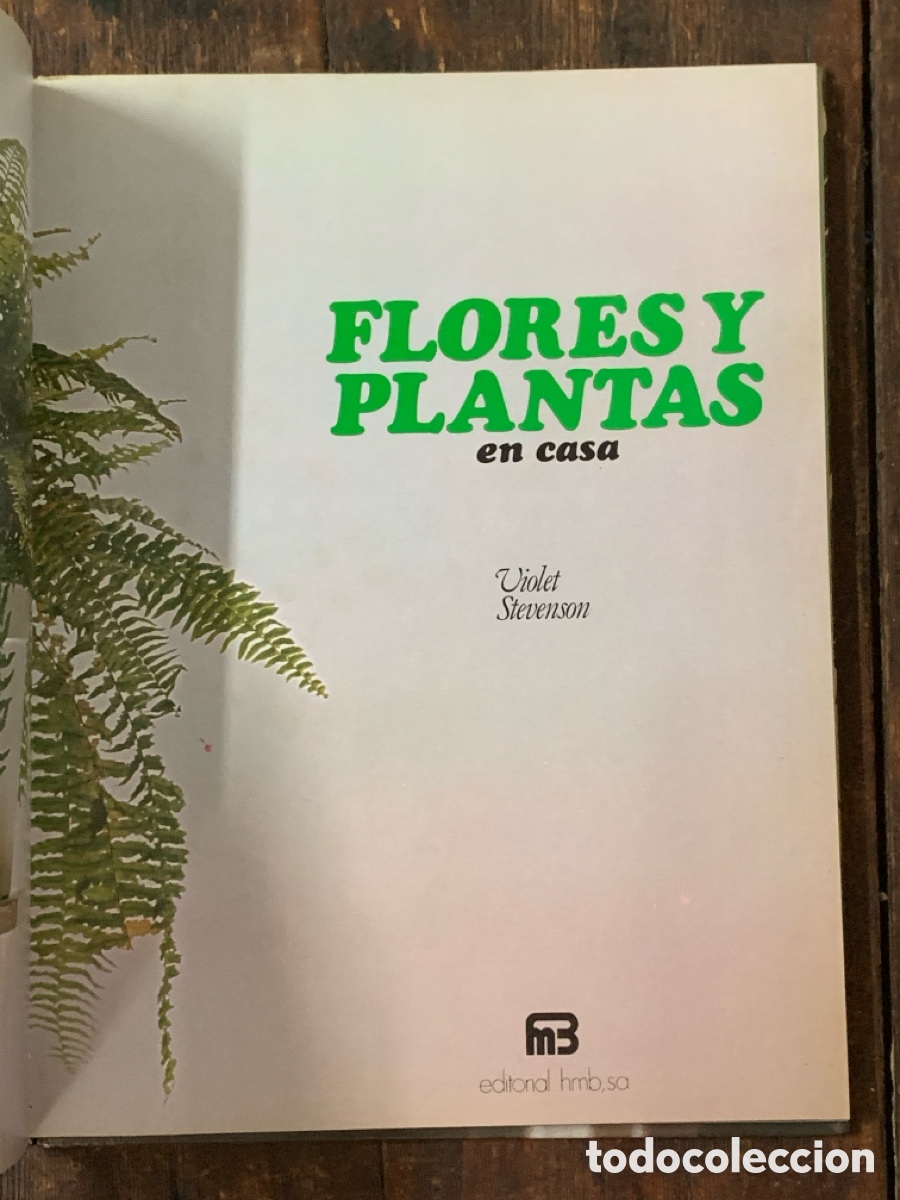 Libros de segunda mano: Flores Y Plantas En Casa, Violet Stevenson - HMB 1978 - Foto 2