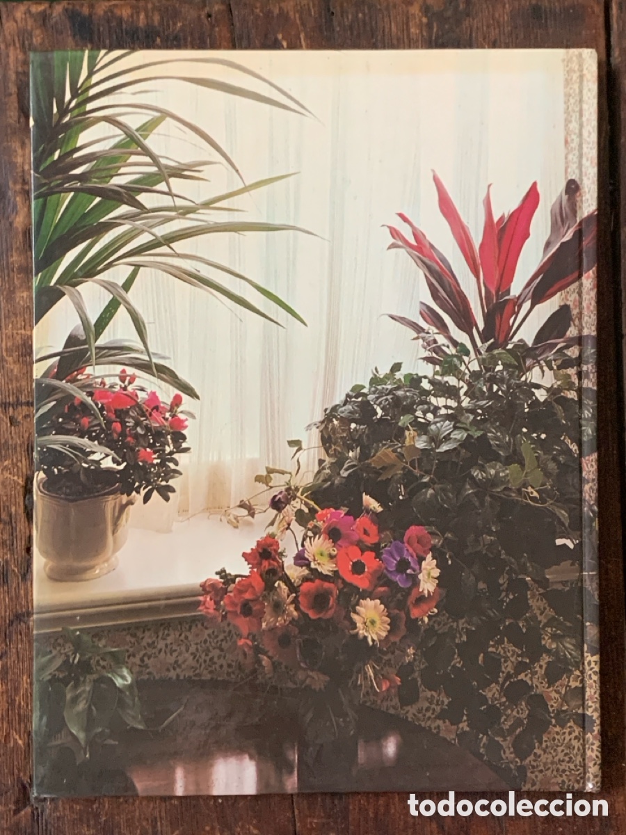 Libros de segunda mano: Flores Y Plantas En Casa, Violet Stevenson - HMB 1978 - Foto 4