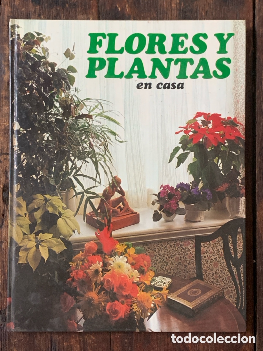 Libros de segunda mano: Flores Y Plantas En Casa, Violet Stevenson - HMB 1978 - Foto 1