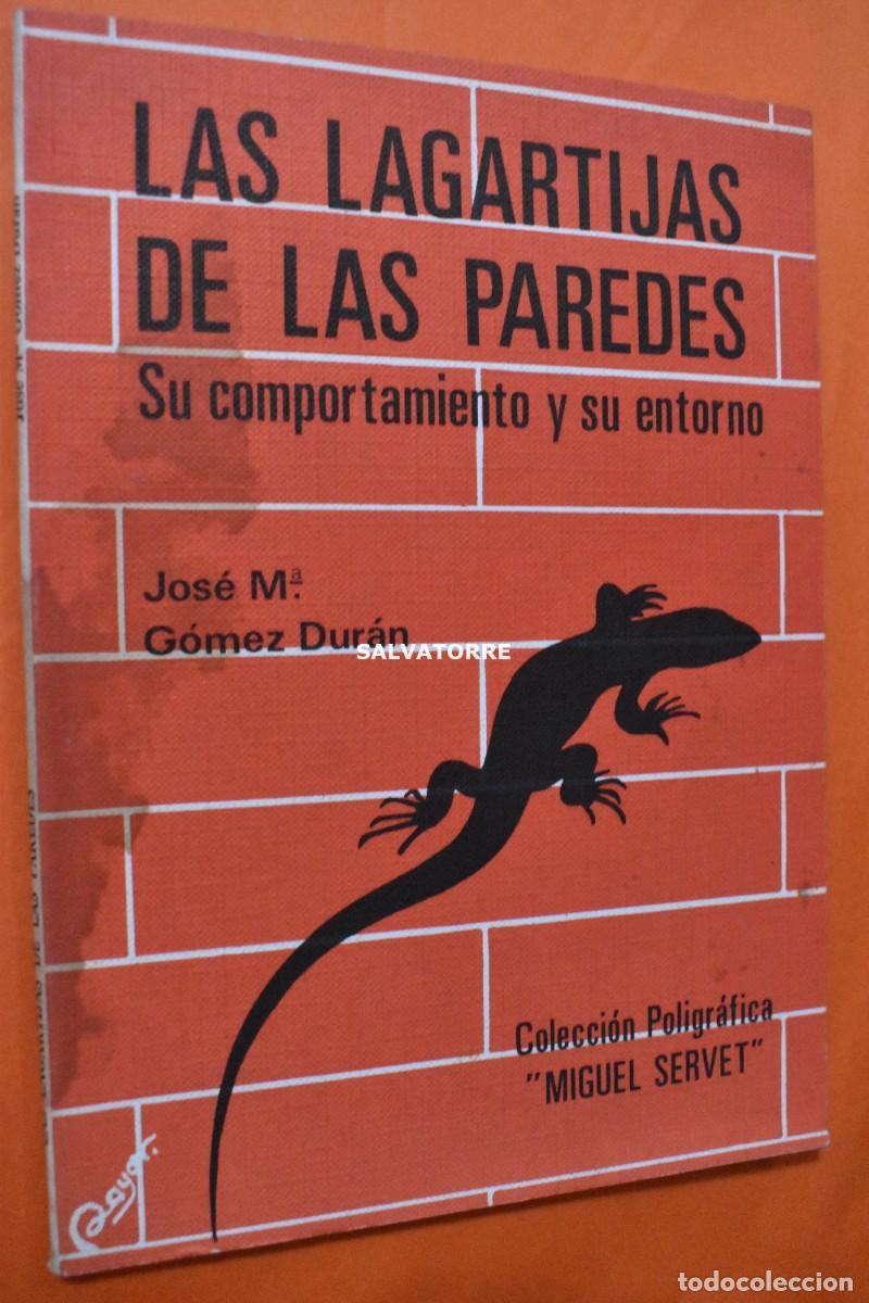 Gebrauchte B&uuml;cher: JOSE MARIA G&Oacute;MEZ DUR&Aacute;N.LAS LAGARTIJAS DE LAS PAREDES.COMPORTAMIENTO Y ENTORNO
