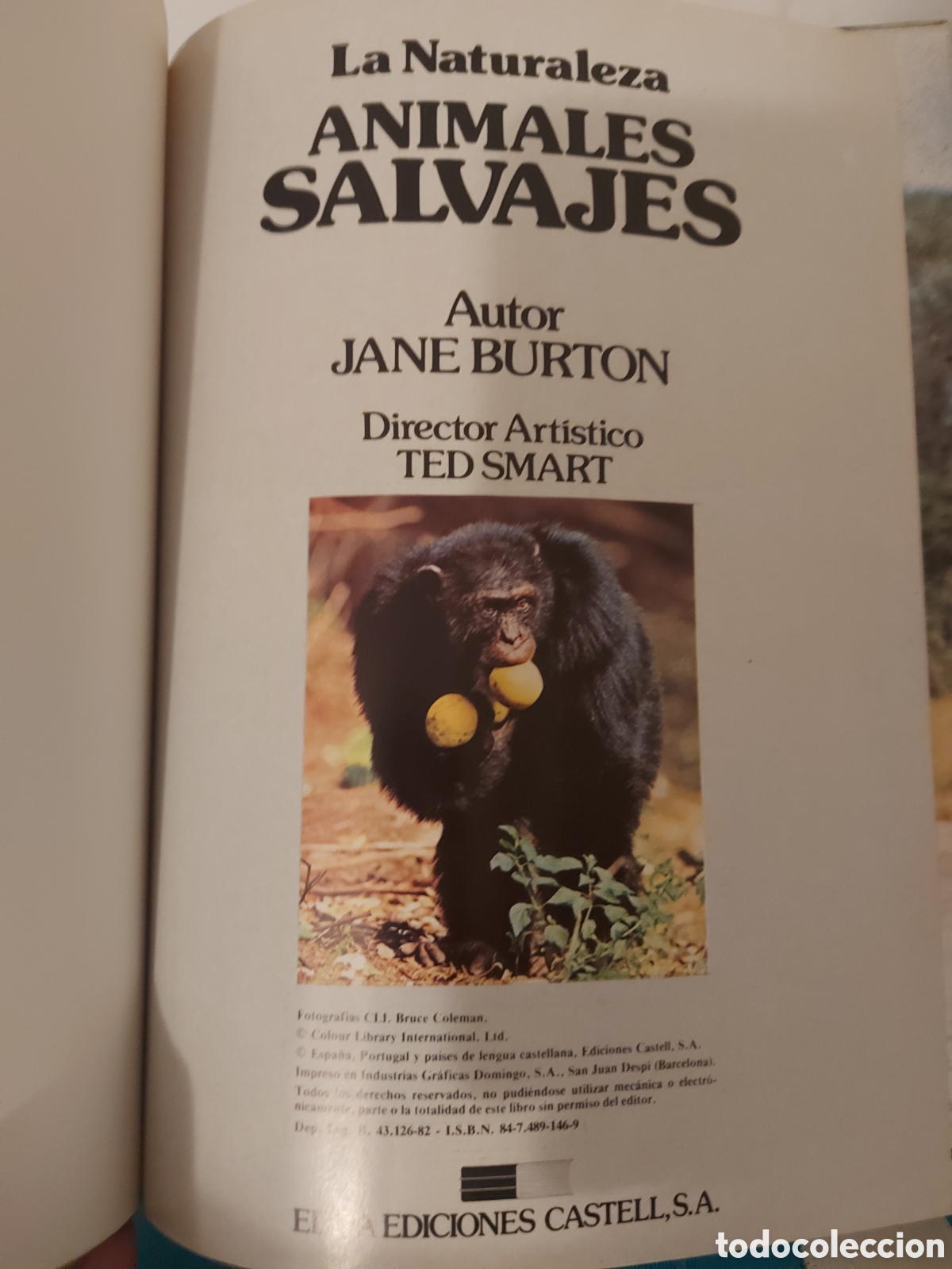 Libros de segunda mano: ANIMALES SALVAJES LA NATURALEZA EDICIONES CASTELL - Foto 5
