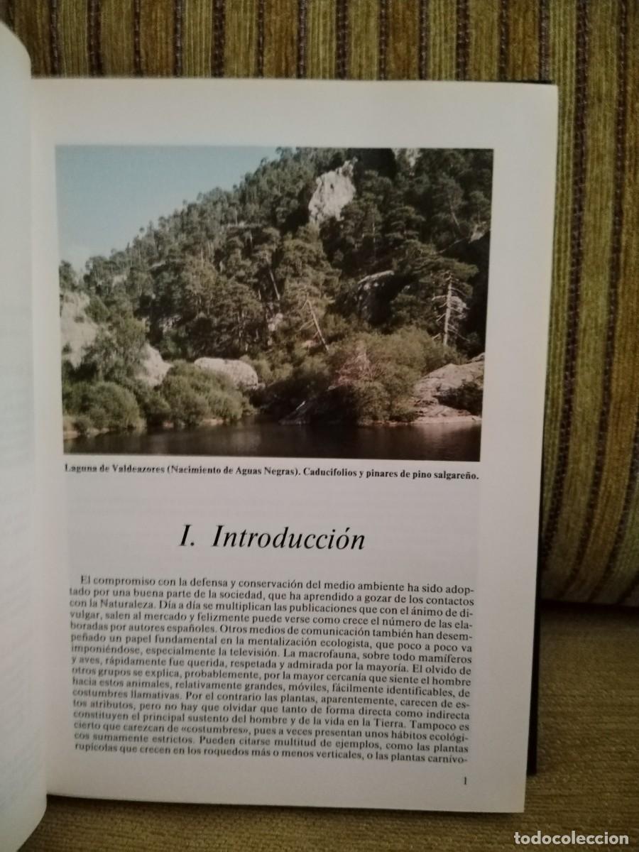 Libros de segunda mano: PARQUE NATURAL DE CAZORLA - Foto 7