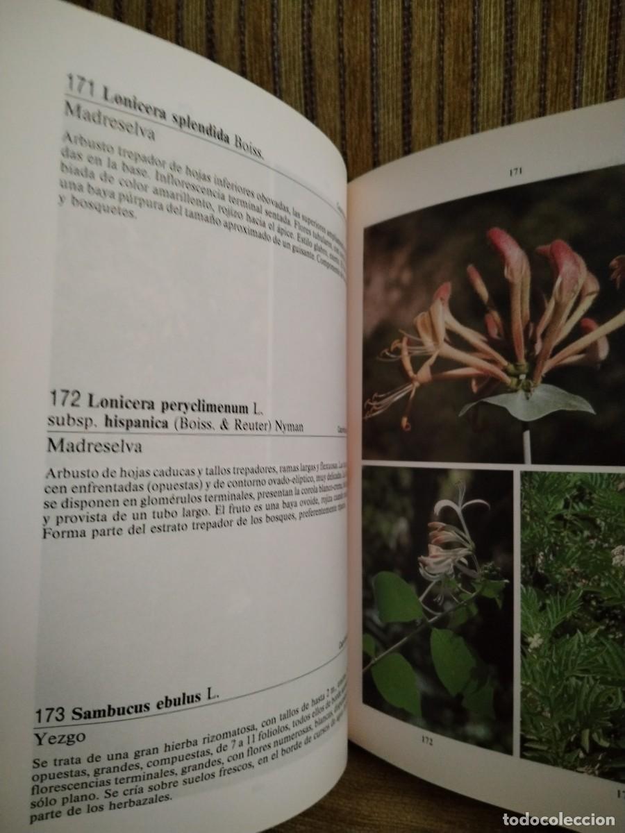 Libros de segunda mano: PARQUE NATURAL DE CAZORLA - Foto 8