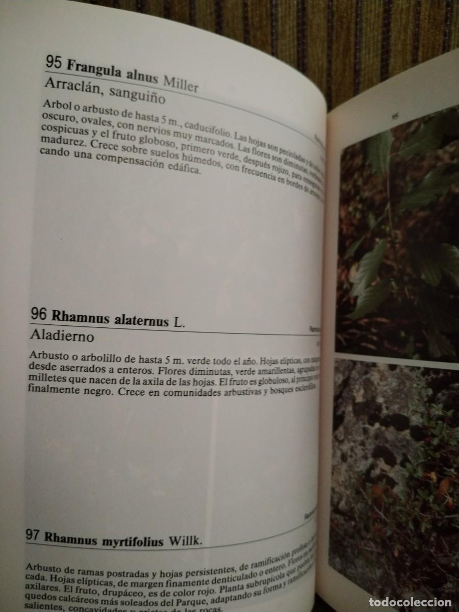 Libros de segunda mano: PARQUE NATURAL DE CAZORLA - Foto 9