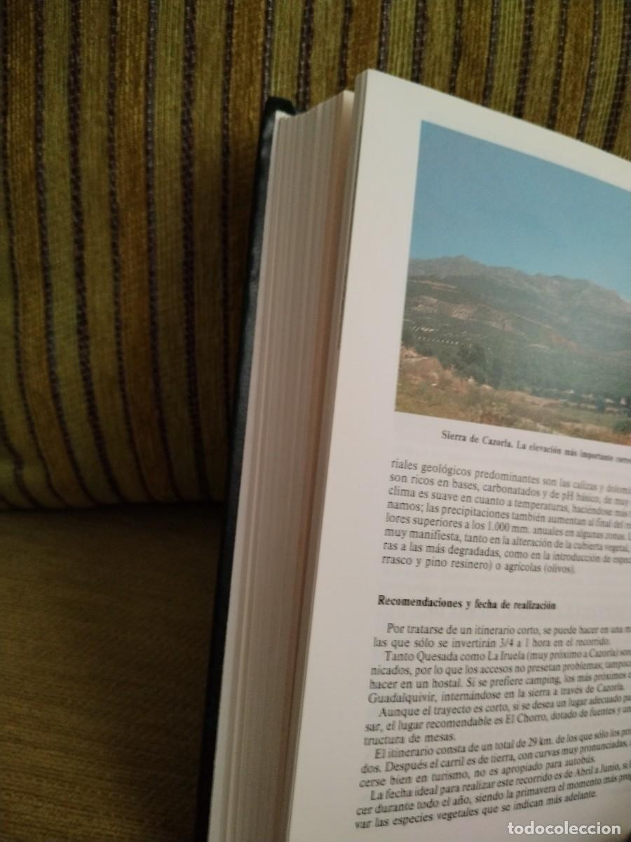 Libros de segunda mano: PARQUE NATURAL DE CAZORLA - Foto 10