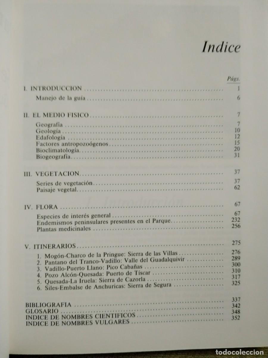 Libros de segunda mano: PARQUE NATURAL DE CAZORLA - Foto 11