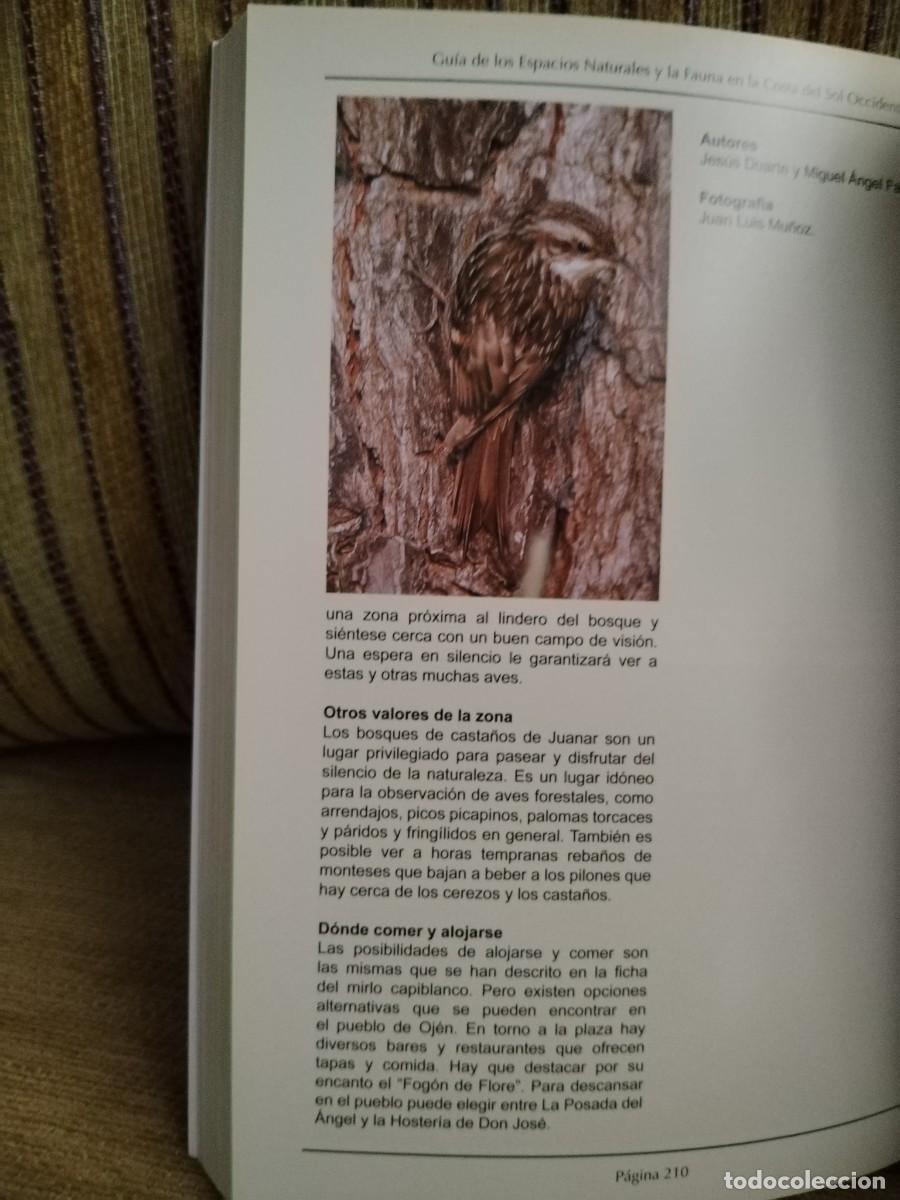 Libros de segunda mano: GU&Iacute;A DE LOS ESPACIOS NATURALES Y FAUNA - Foto 10