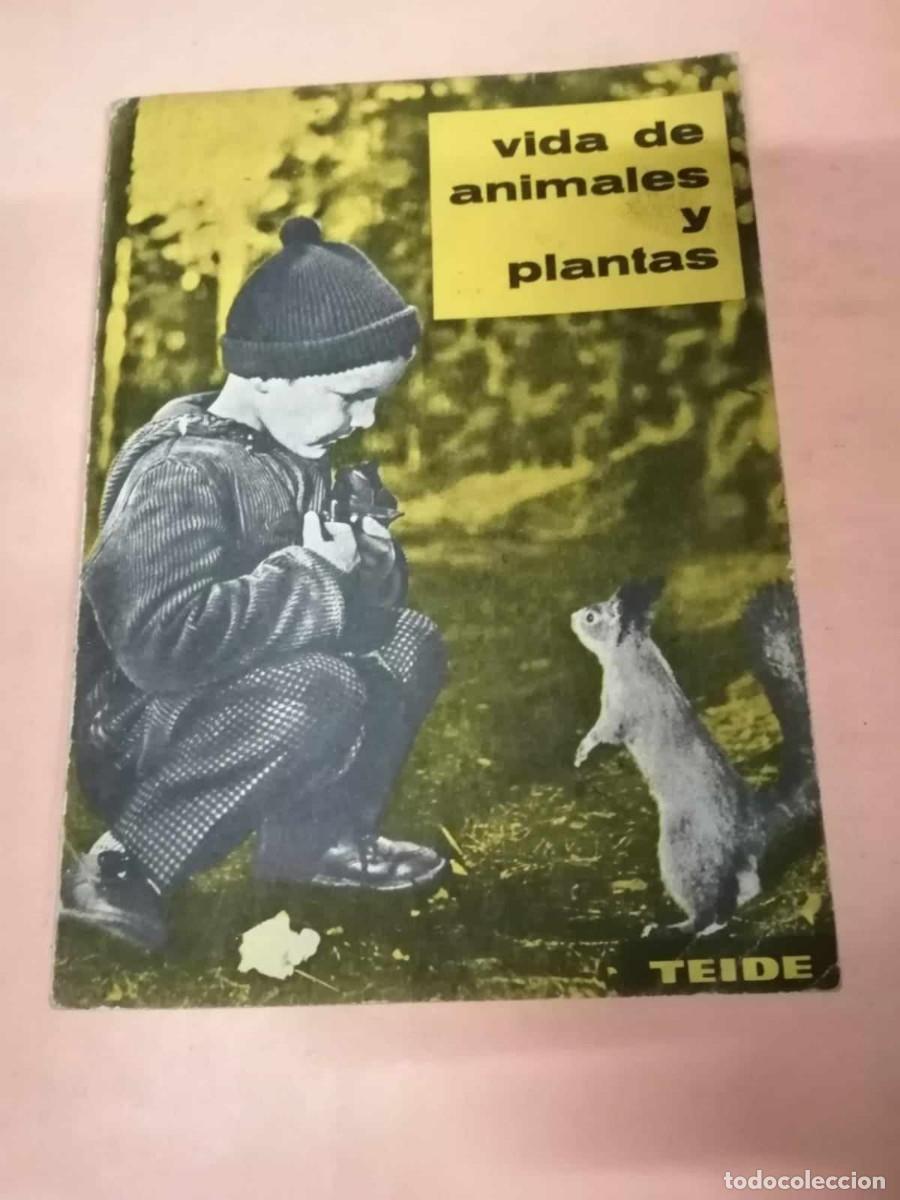 Libros de segunda mano: VIDA DE ANIMALES Y PLANTAS (EDITORIAL TEIDE) - Foto 1