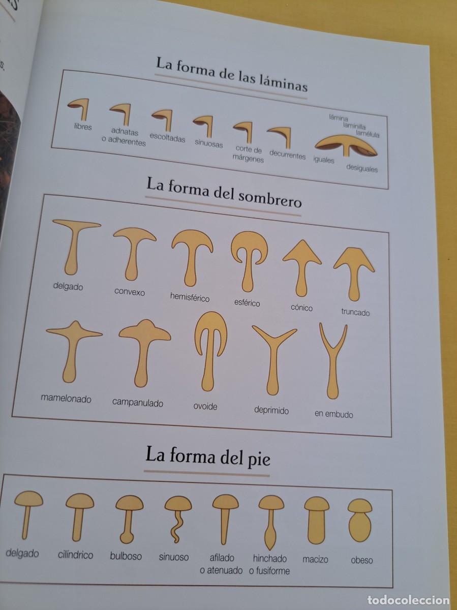 Libros de segunda mano: GERARD HOUDOU - EL MUNDO DE LAS SETAS I - ULTRAMAR 2001 - Foto 3