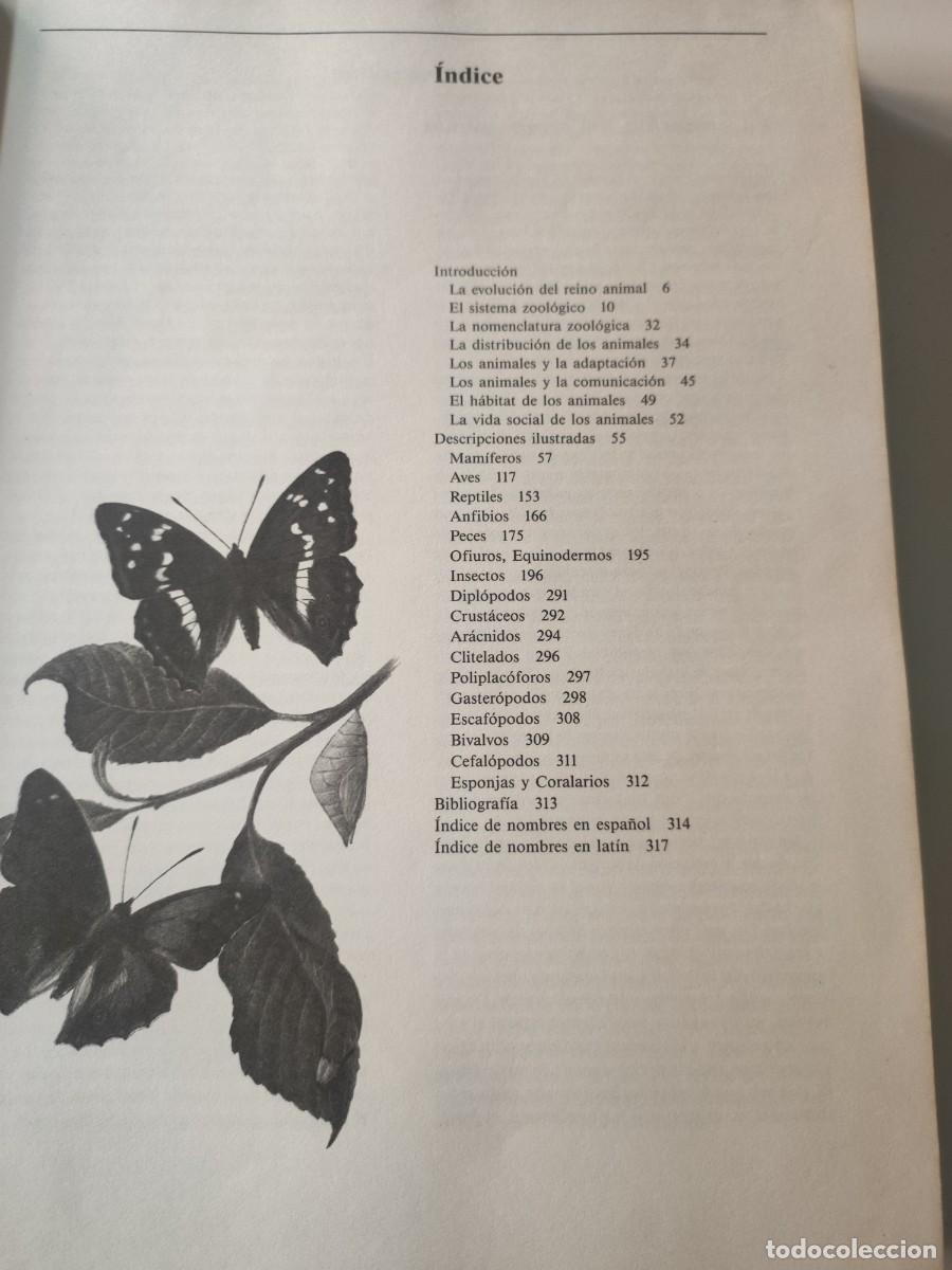 Libros de segunda mano: El gran libro de los animales. - Foto 4