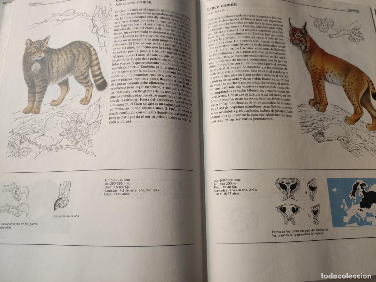 Libros de segunda mano: El gran libro de los animales. - Foto 8