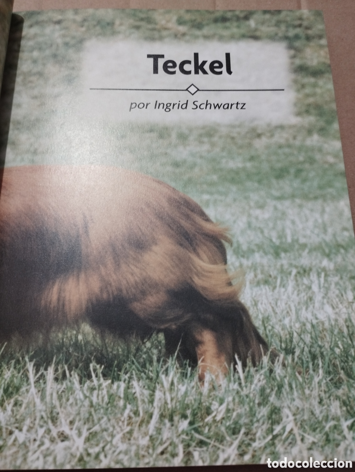 Libros de segunda mano: TECKEL (INGRID SCHWARTZ) - Foto 2