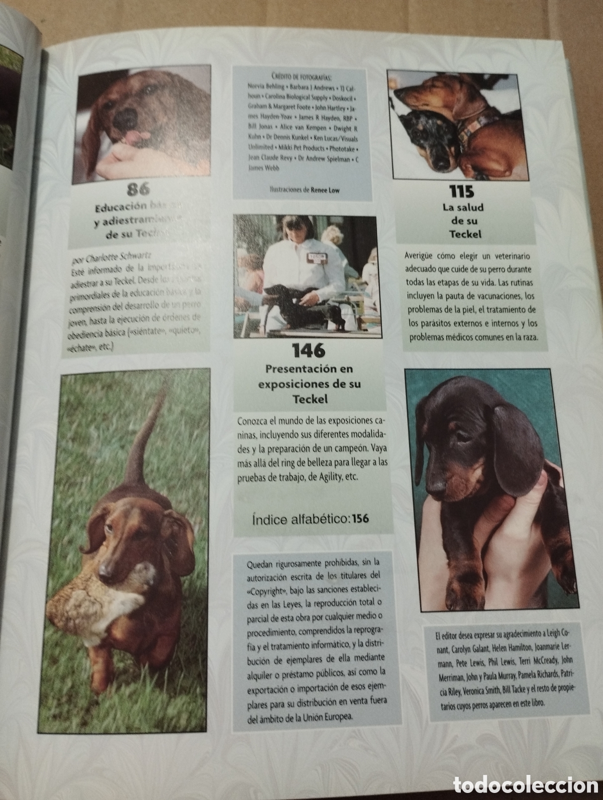 Libros de segunda mano: TECKEL (INGRID SCHWARTZ) - Foto 4