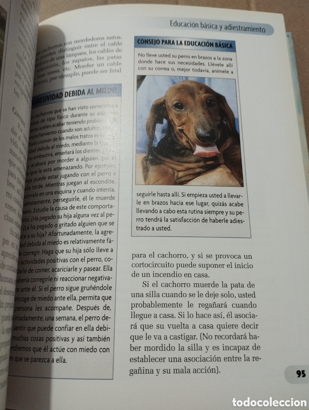 Libros de segunda mano: TECKEL (INGRID SCHWARTZ) - Foto 5