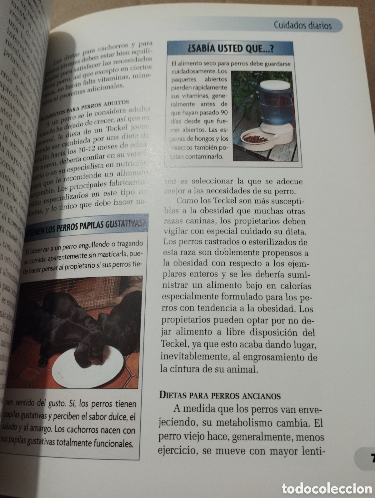 Libros de segunda mano: TECKEL (INGRID SCHWARTZ) - Foto 7