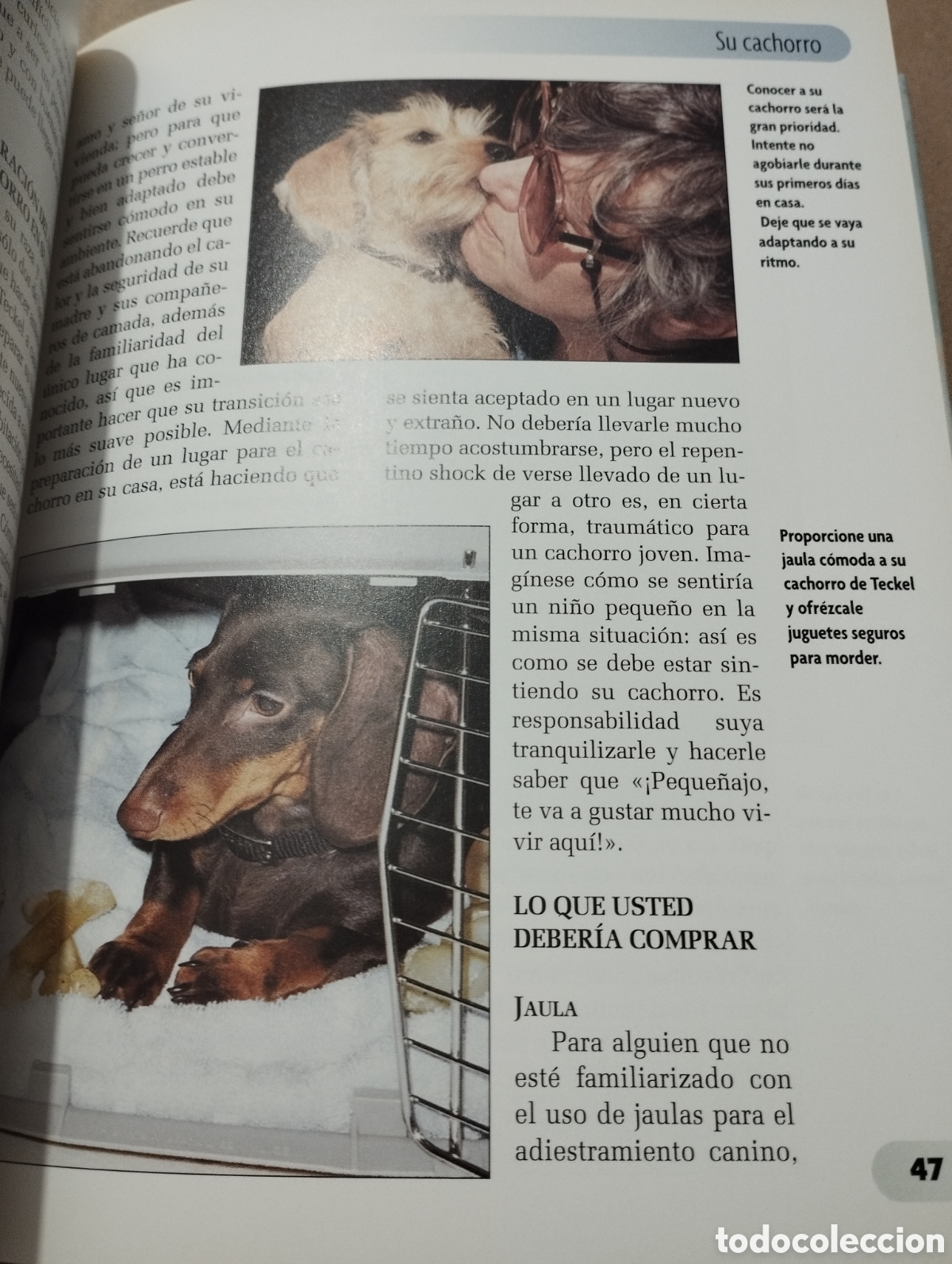 Libros de segunda mano: TECKEL (INGRID SCHWARTZ) - Foto 9