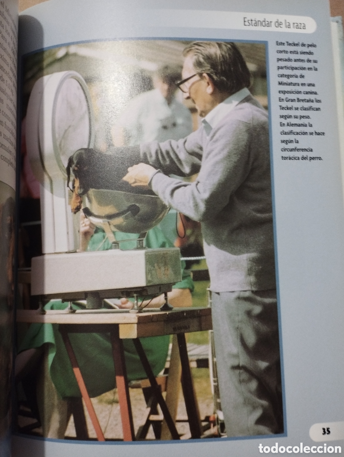 Libros de segunda mano: TECKEL (INGRID SCHWARTZ) - Foto 10