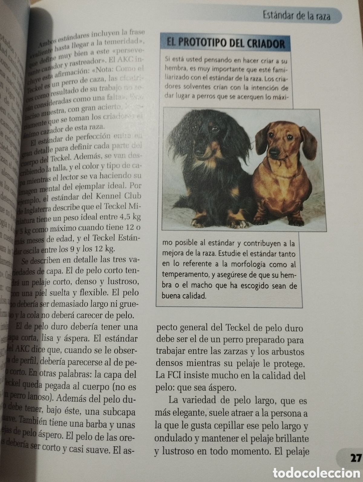 Libros de segunda mano: TECKEL (INGRID SCHWARTZ) - Foto 11