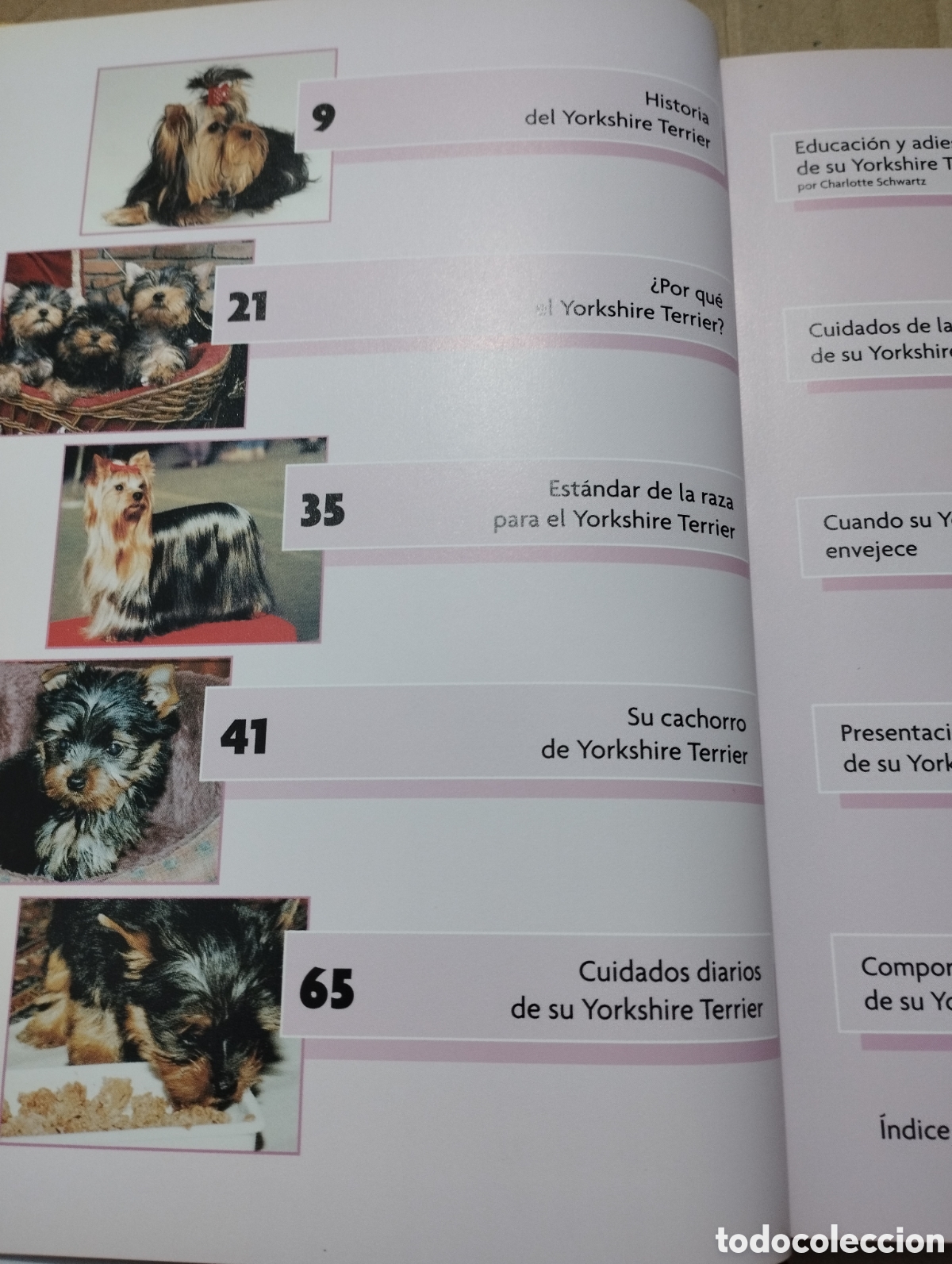 Libros de segunda mano: YORKSHIRE TERRIER (RACHEL KEYES) - Foto 3