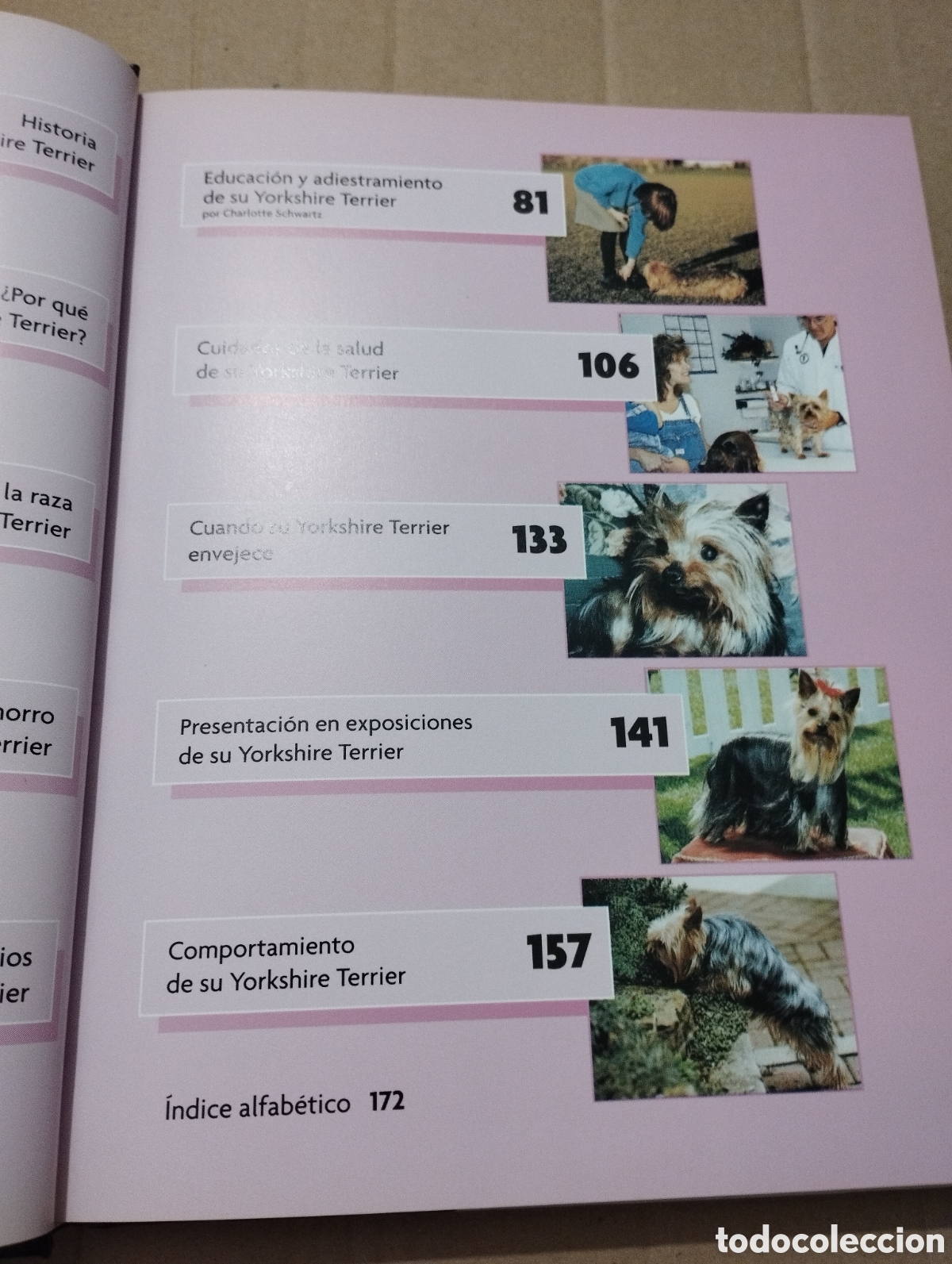 Libros de segunda mano: YORKSHIRE TERRIER (RACHEL KEYES) - Foto 4