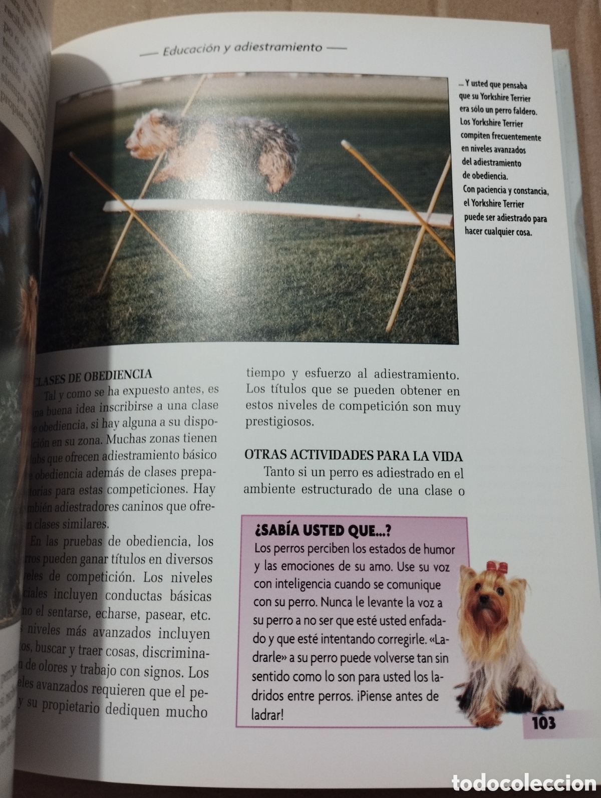 Libros de segunda mano: YORKSHIRE TERRIER (RACHEL KEYES) - Foto 5