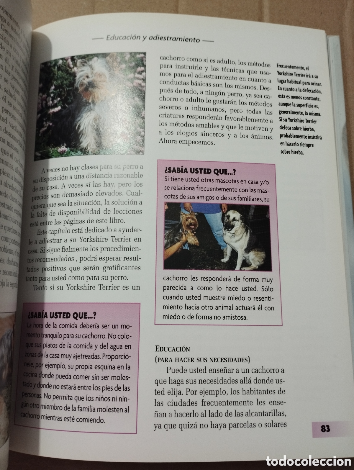 Libros de segunda mano: YORKSHIRE TERRIER (RACHEL KEYES) - Foto 6