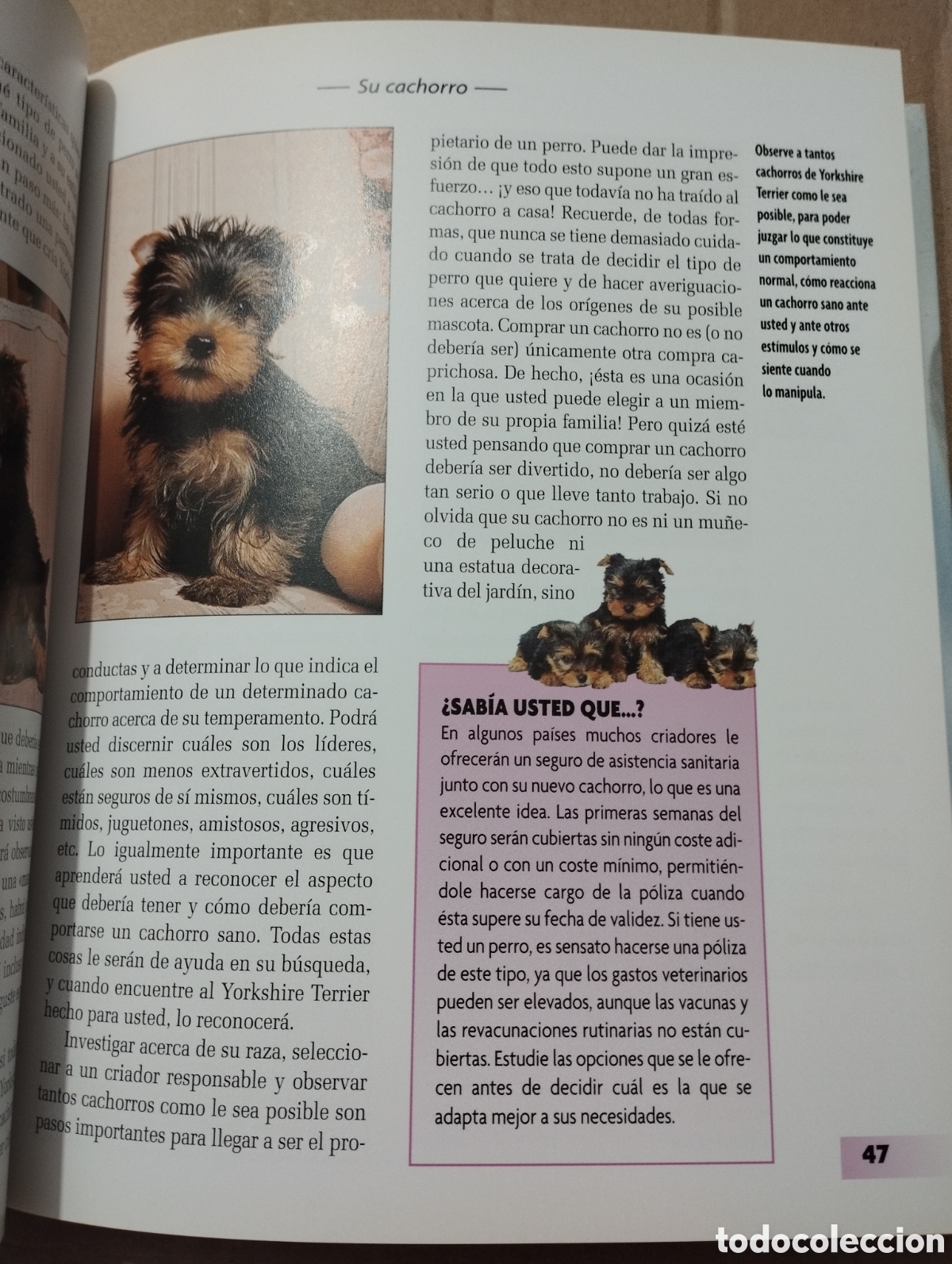 Libros de segunda mano: YORKSHIRE TERRIER (RACHEL KEYES) - Foto 7