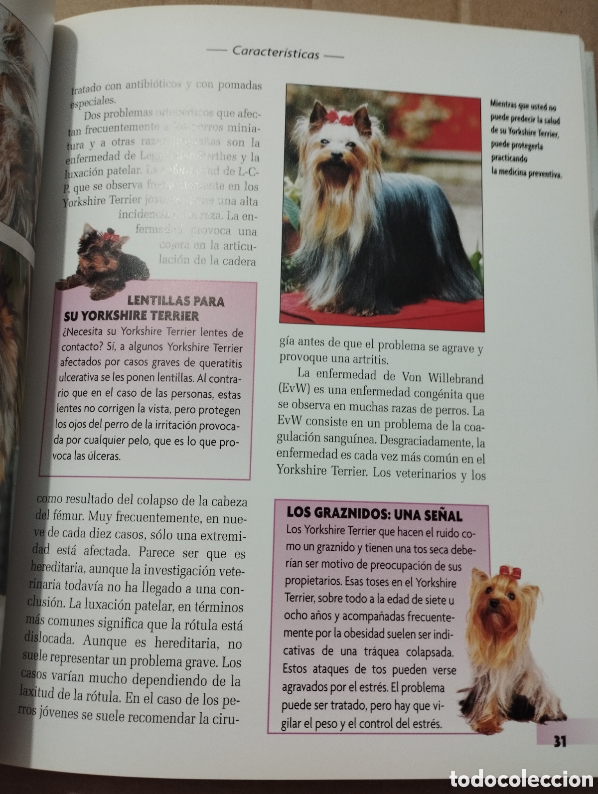 Libros de segunda mano: YORKSHIRE TERRIER (RACHEL KEYES) - Foto 8