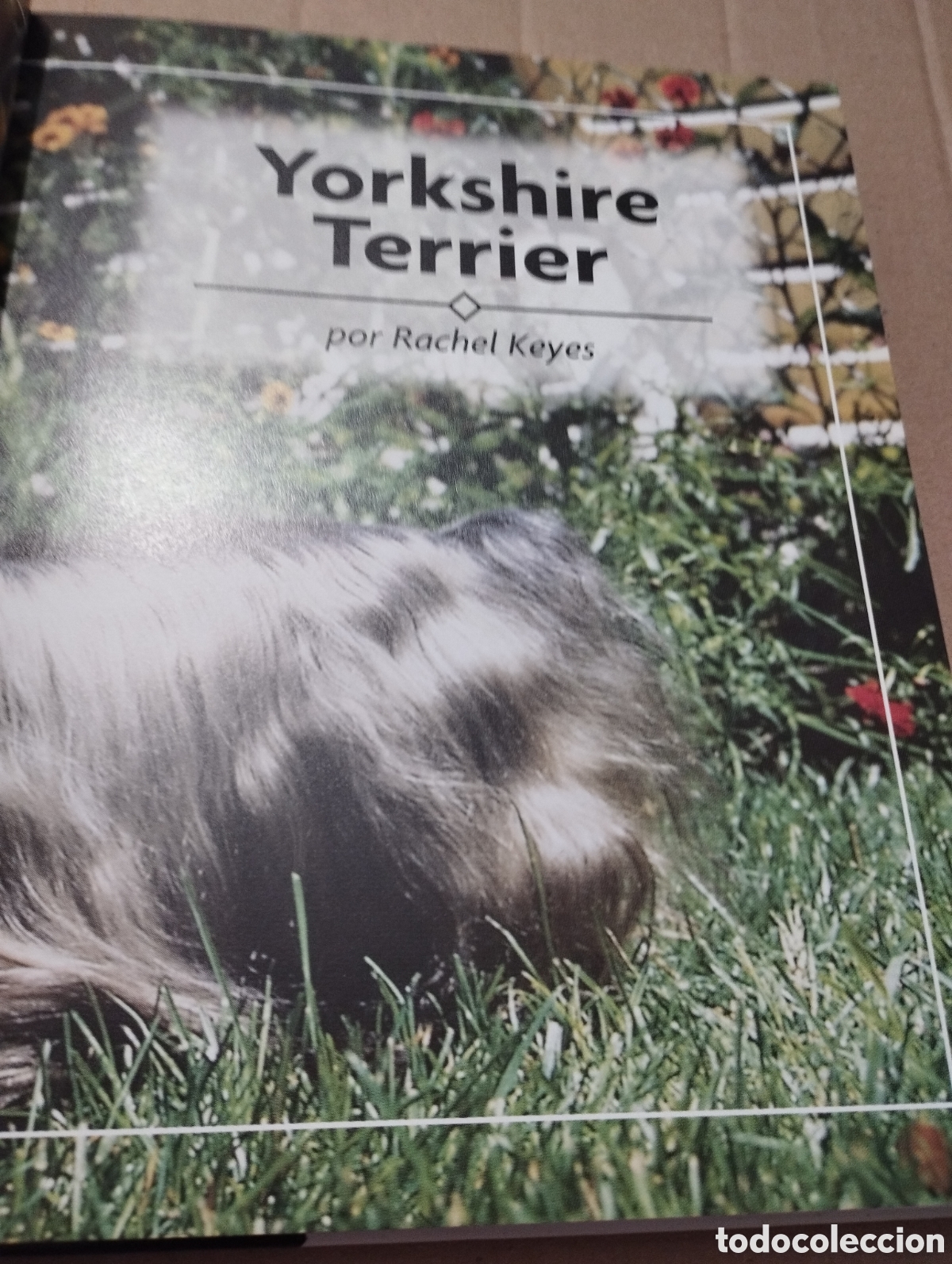 Libros de segunda mano: YORKSHIRE TERRIER (RACHEL KEYES) - Foto 2